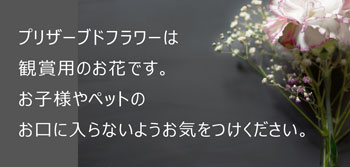 キャラクター画像01